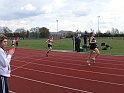 sal_04 137